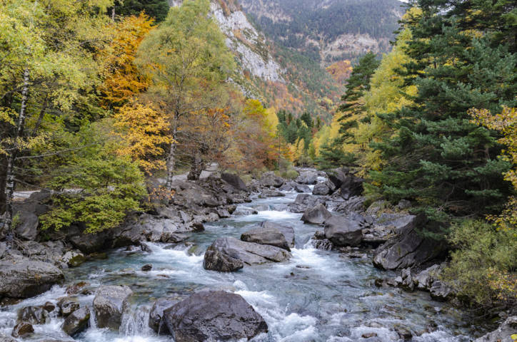 Huesca - valle de Bujaruelo 10 - rio Ara.jpg